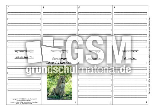 Faltbuch-Löwe-2.pdf